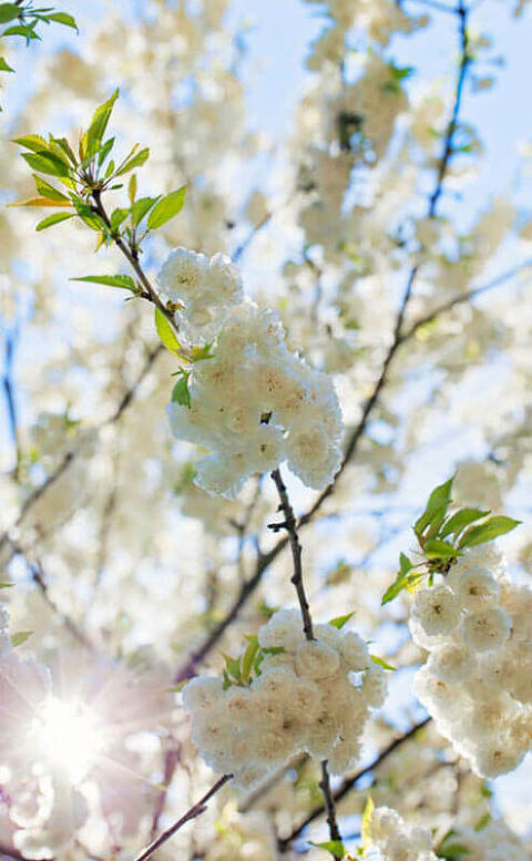 Frauenarzt, Frauenaerztin München